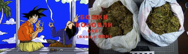 спиды Богородицк