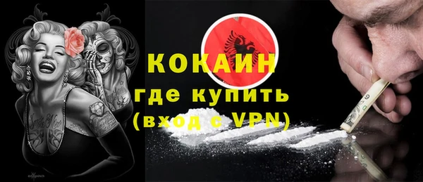 спиды Богородицк