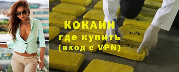 спиды Богородицк