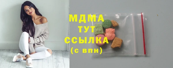 спиды Богородицк