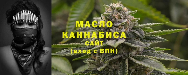 спиды Богородицк