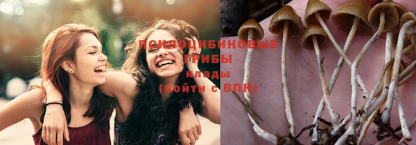 спиды Богородицк