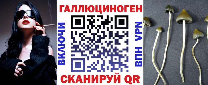 Галлюциногенные грибы Cubensis Новосокольники